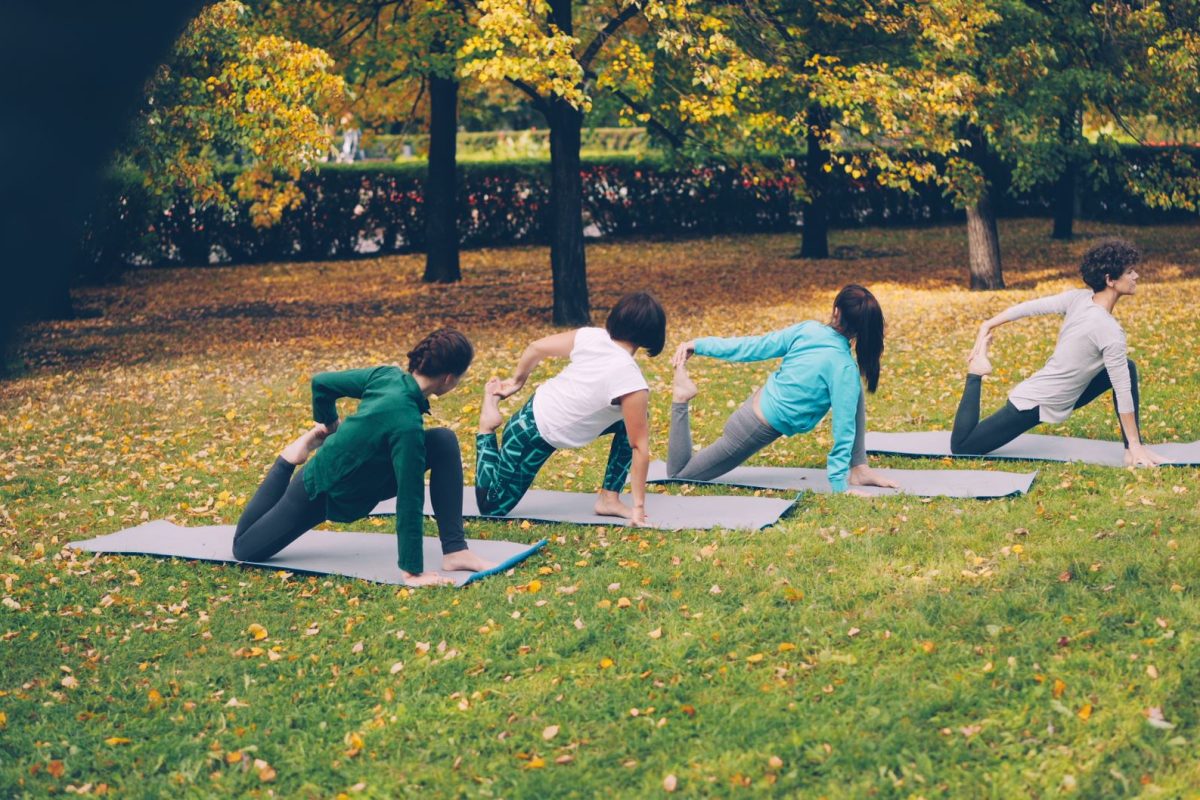 Comparatif des meilleures applications de fitness en 2023