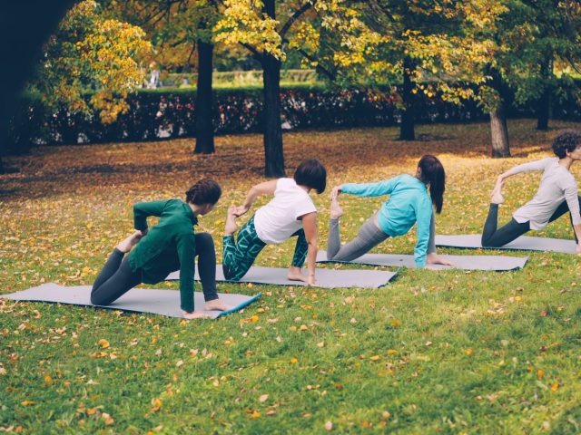 Comparatif des meilleures applications de fitness en 2023
