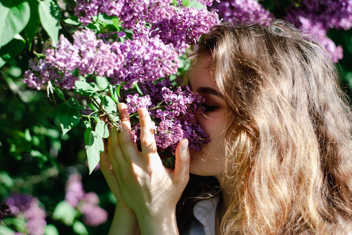 Comment préparer votre corps contre les allergies saisonnières dès maintenant ?