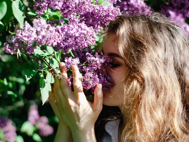 Comment préparer votre corps contre les allergies saisonnières dès maintenant ?