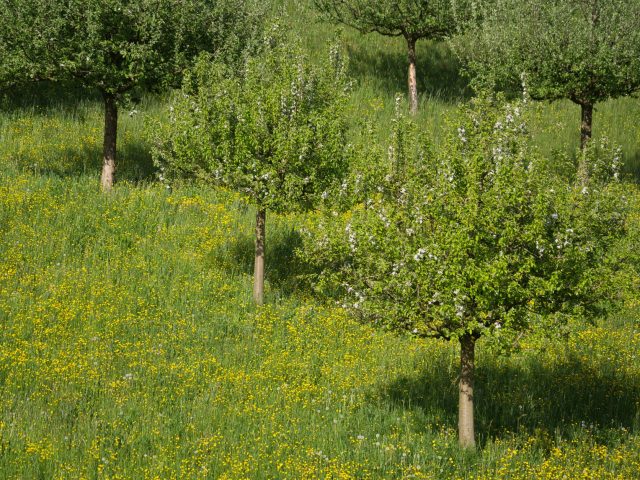 Vivre sereinement pendant la saison des allergies : stratégies efficaces